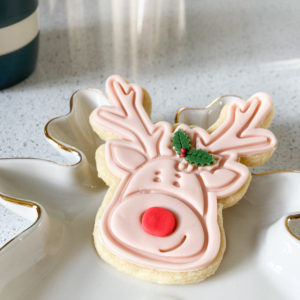 Reindeer hand baked and decorated biscuit for Christmas gift